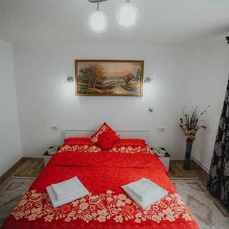 Casa Andreea și Grigore Ursu Borşa Exterior foto